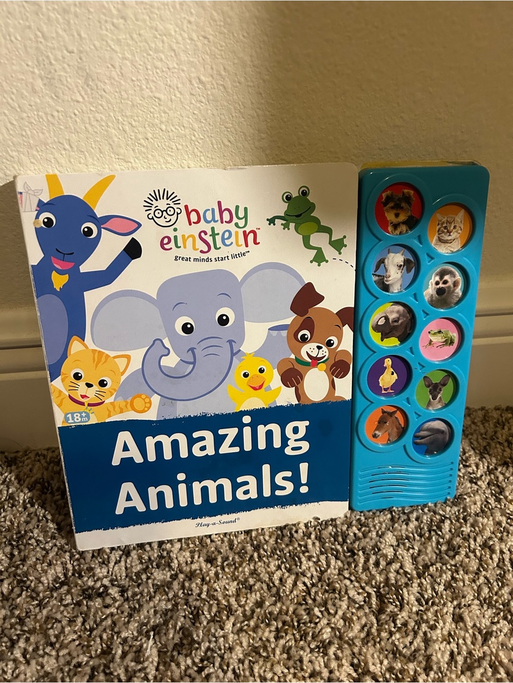 Baby Einstein Amazing Animals! Sound Book